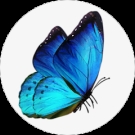 Kimberly Sisley Avatar